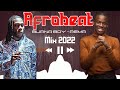 Afrobeat mix 2022  burna boy ft rema mix 2022  best afrobeat songs 2022  rema burnaboy mix