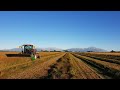 Swathing Grass Seed with May Brothers Contracting New Zealand