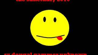 dougal gammer sy unknown stereo love.wmv