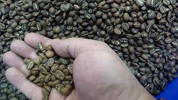 High Efficiency Coffee Bean Color Sorter Sorting Machine with AI system