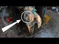 HUGE HOOF PROBLEM ... UNFIXABLE cows FOOT | The Hoof GP