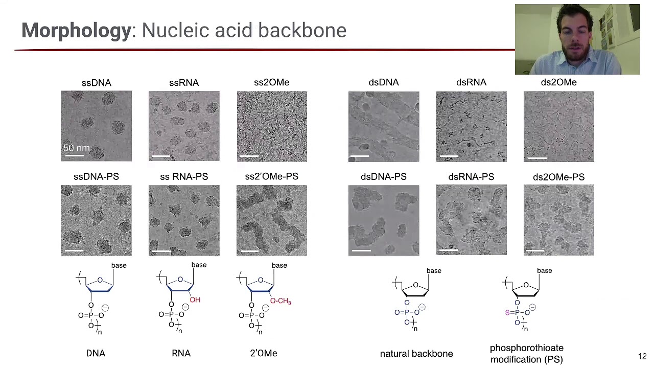 Marras - Polyelectrolyte Complexation session - AIChE 2020