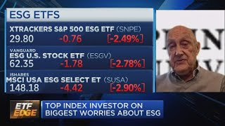 This is the big problem with sustainable investing, according to Wall Street legend Burton Malkiel