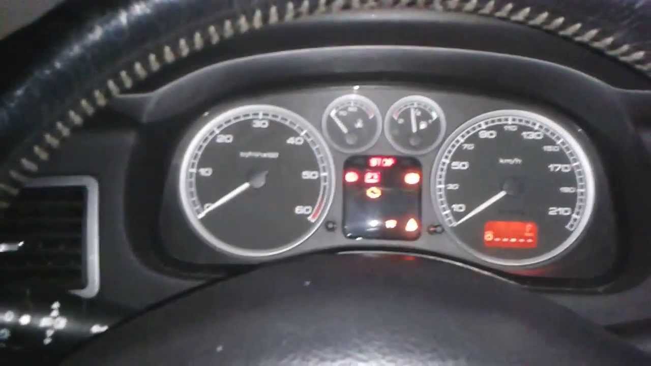Peugeot 307 HDI 23 Celsius cold start. YouTube