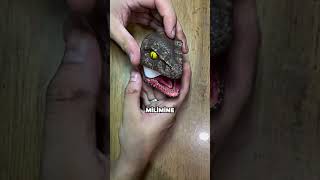 Figürden Kulaklık Kılıfı