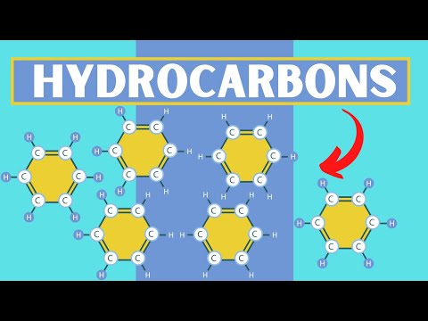 4 Types of Hydrocarbons