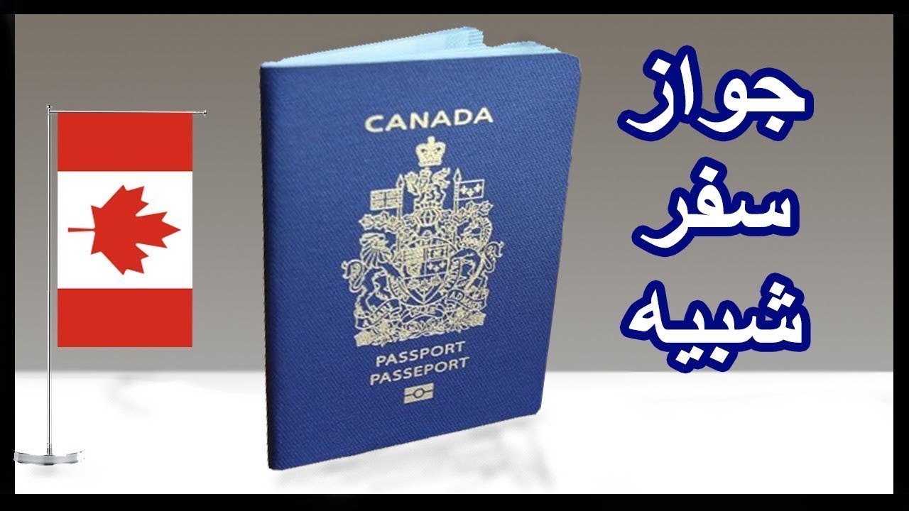 Контрабанда с использованием поддельного паспорта