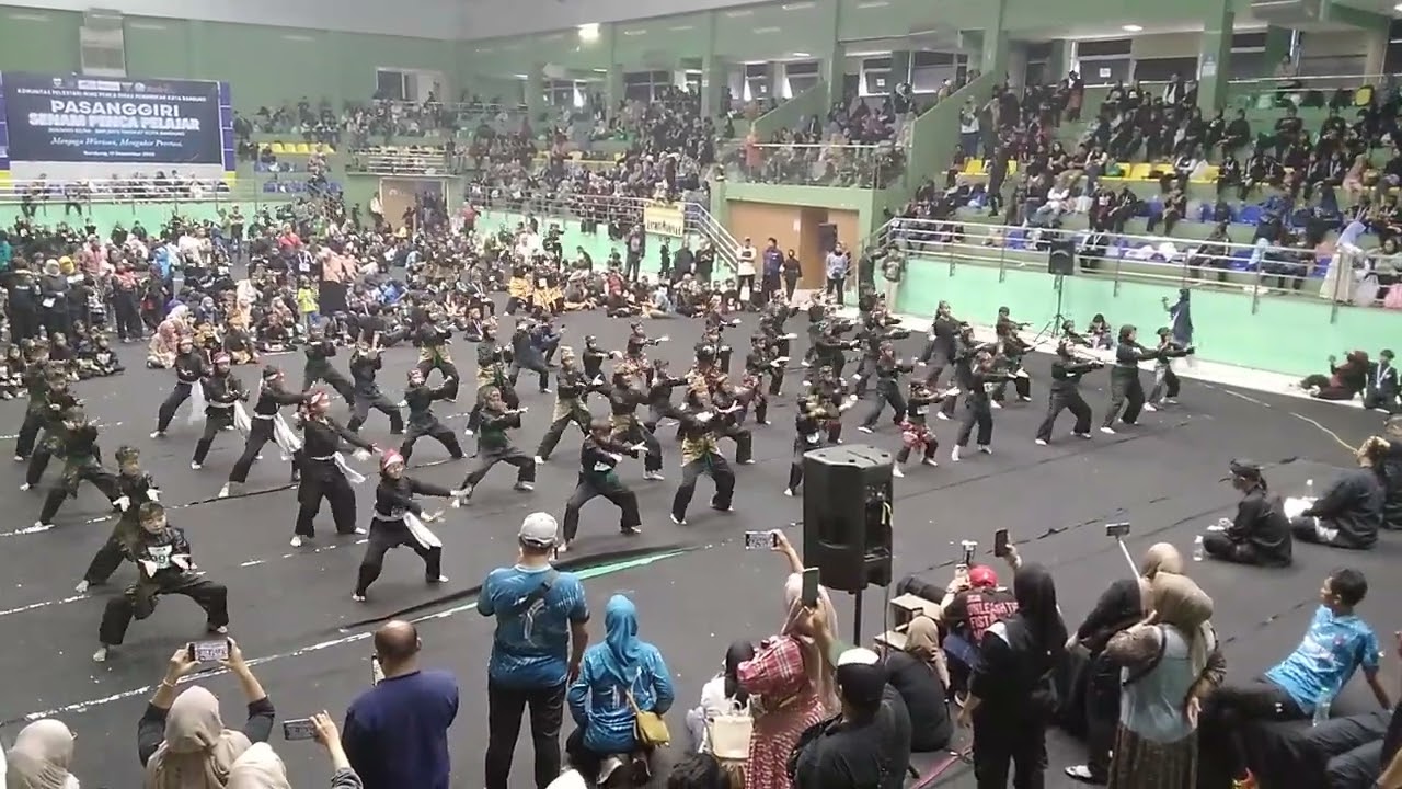 🤩🤩🤩🤩🤩🤩🤩🤩