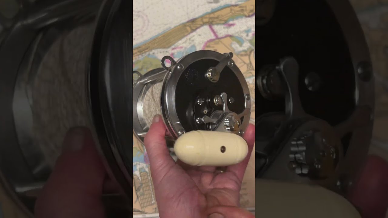 Penn Senator 9 0 Fishing Reel Of The Day Fish