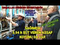 SAĞIMDA BAZI KOYUNLAR ŞAŞIRTTI | ASSAF SAĞIMINA GİRDİK | BİSTE KOYUNCULUK BÖLÜM 4