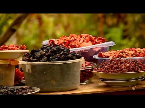 სოფელი უცხერი