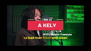 S Basta Lion  Dubplate  Little Lion Sound  Wyfl Riddim Freestyle