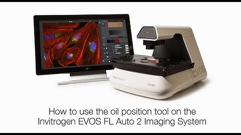 Adding oil to objectives on the EVOS FL Auto 2 Microscope