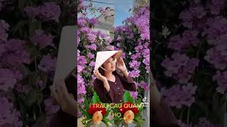 Giọng hát quê hương.