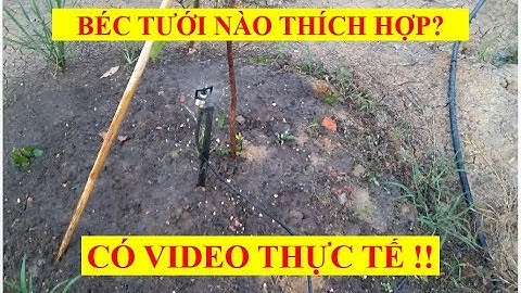 🔥 NÓI VỀ BÉC TƯỚI NƯỚC (CÓ VIDEO THỰC TẾ Ở KHÚC SAU) - PHẦN 1 - LÀM VƯỜN VLOGS