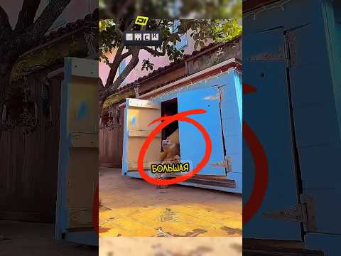 ЭТО САМАЯ БОЛЬШАЯ ЧЕРЕПАХА В МИРЕ❗️💜#shorts