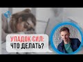 УСТАЛОСТЬ и СОНЛИВОСТЬ - Простой способ повысить энергию и взбодриться