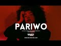 Amapiano Type Beat | Afrobeat | "Pariwo" 2023