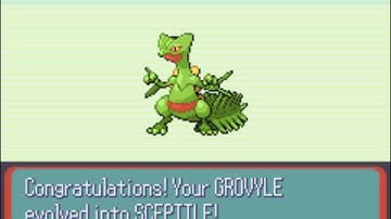 evolving grovyle in pokemon emerald