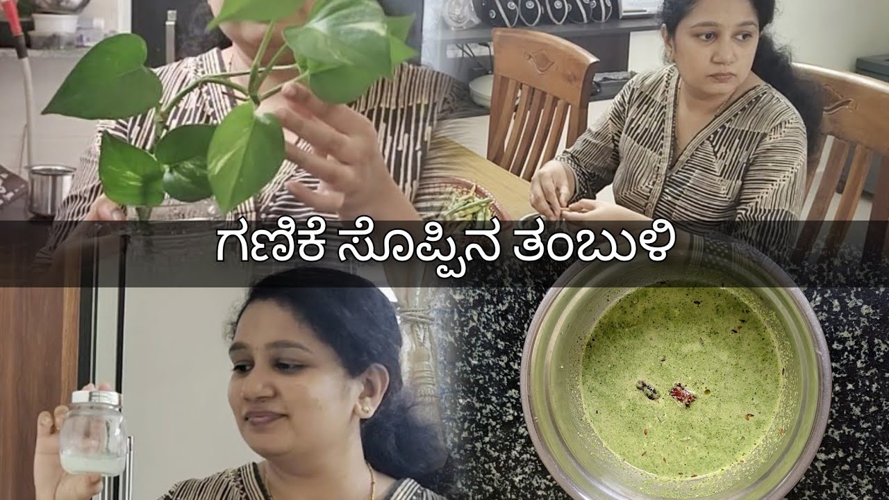Preparing moisturizer for winter | cleaning money plant | Swalpa Maathaadana 