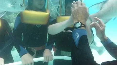 Helmet Dive in Bermuda June 2014