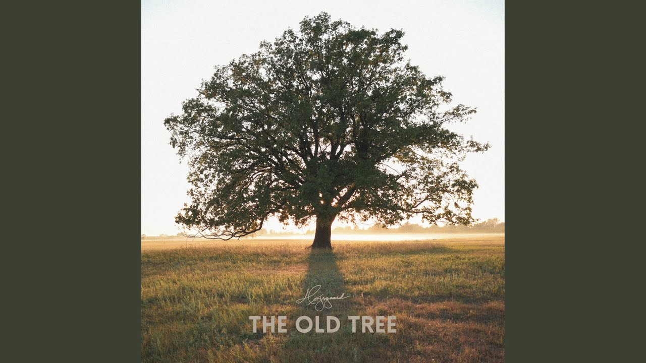 Watch The Old Tree on YouTube Watch The Old Tree on YouTube