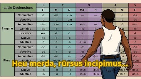 Declensions Explained: Unlock the Secrets of Latin, German & More