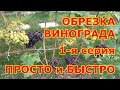 ч 1  ОБРЕЗКА ВИНОГРАДА осенью. 1-я серия. ЦЕЛЬ УРОЖАЙНОСТЬ