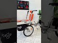 Bici per trasportare 2 bambini | Cargo Bike Taga innovativa per famiglie