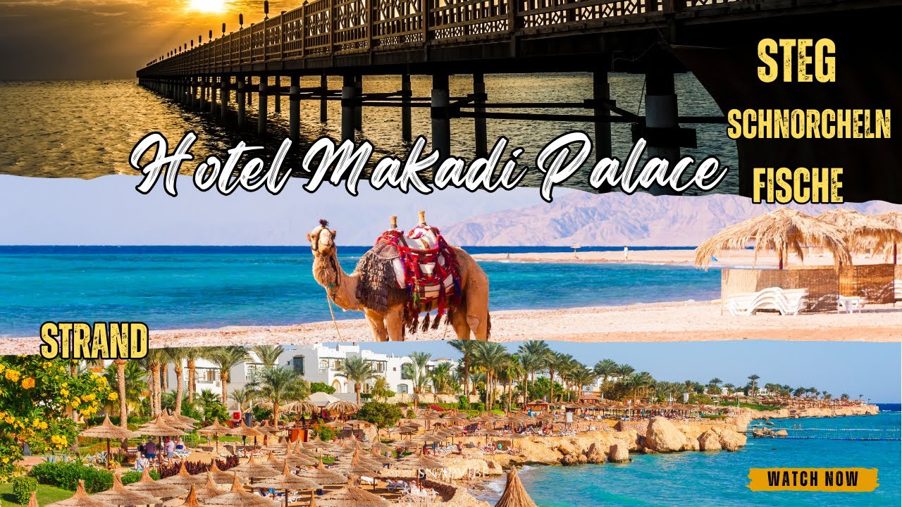 Ägypten, Urlaub 2024 Hotel Makadi Palace 🇪🇬 Strand 🏝️ schnorcheln 🤿 Fische 🐠 Steg 👌🏻