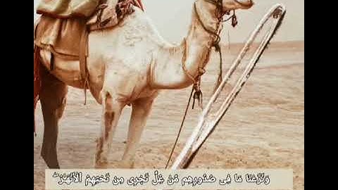 إِنَّ ٱلَّذِينَ كَذَّبُواْ بِـَٔايَٰتِنَا وَٱسۡتَكۡبَرُواْ عَنۡهَا لَا سورة الأعراف - اية 40#قرآن