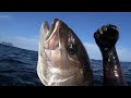 Pesca Submarina en el Estrecho de Gibraltar a Poco fondo desde Tierra PEZ LIMON  25 KG