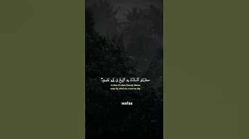 📖 تلاوة خاشعة بصوت خالد الجليل تهز القلوب 💖 | آيات مؤثرة جدًا