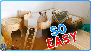 DIY Cardboard Platform for Small Pets | DIY Hamster Toys