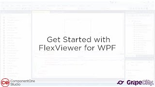 Get Started with FlexViewer WPF Report Viewer