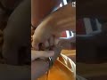 POPEYES EMPLOYEE GOES TO JAIL - FULL BODYCAM ARREST VIDEO #shorts #popeyes #shortvideo #america #12