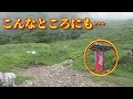 【海外の反応】日本でサイクリング中の外国人が撮った一枚の写真に外国人が共感!! 日本ならではのどこにでもある○○とは!? 海外「脱水症状で死ぬことないな」【動画のカンヅメ】