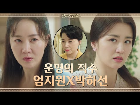 면접 준비에 목숨 건 엄지원X박하선#산후조리원 | Birthcare <strong>Center</strong> <strong>EP</strong>.6