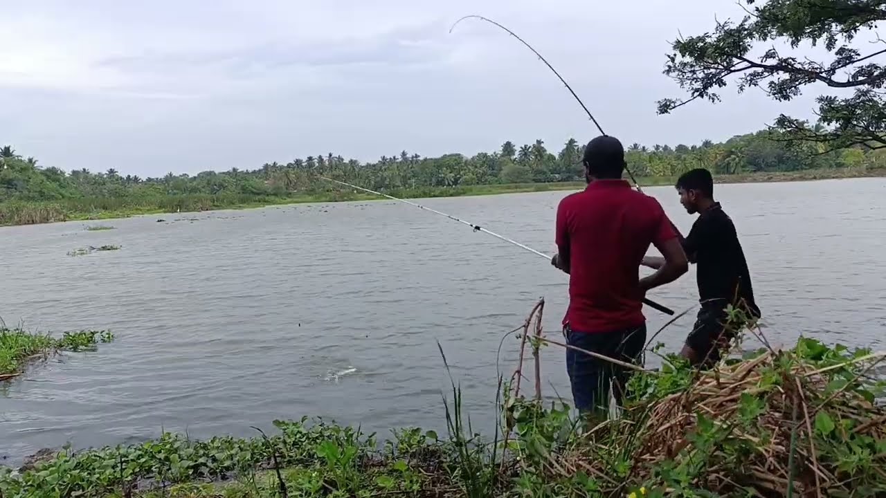 අපි බිලී පිත්තෙන් 🎣 මාළු අල්ලන්න ගියාම යාළුවො කියන කතා 😂😂 මාළු ටික ඉවර වෙයි කියලා 😂 Hook Fishing 