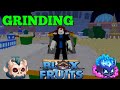 grinding to level up in blox fruit I got Gun 😨