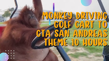 Monkey Driving Golf Cart to GTA San Andreas Theme 10 Hours