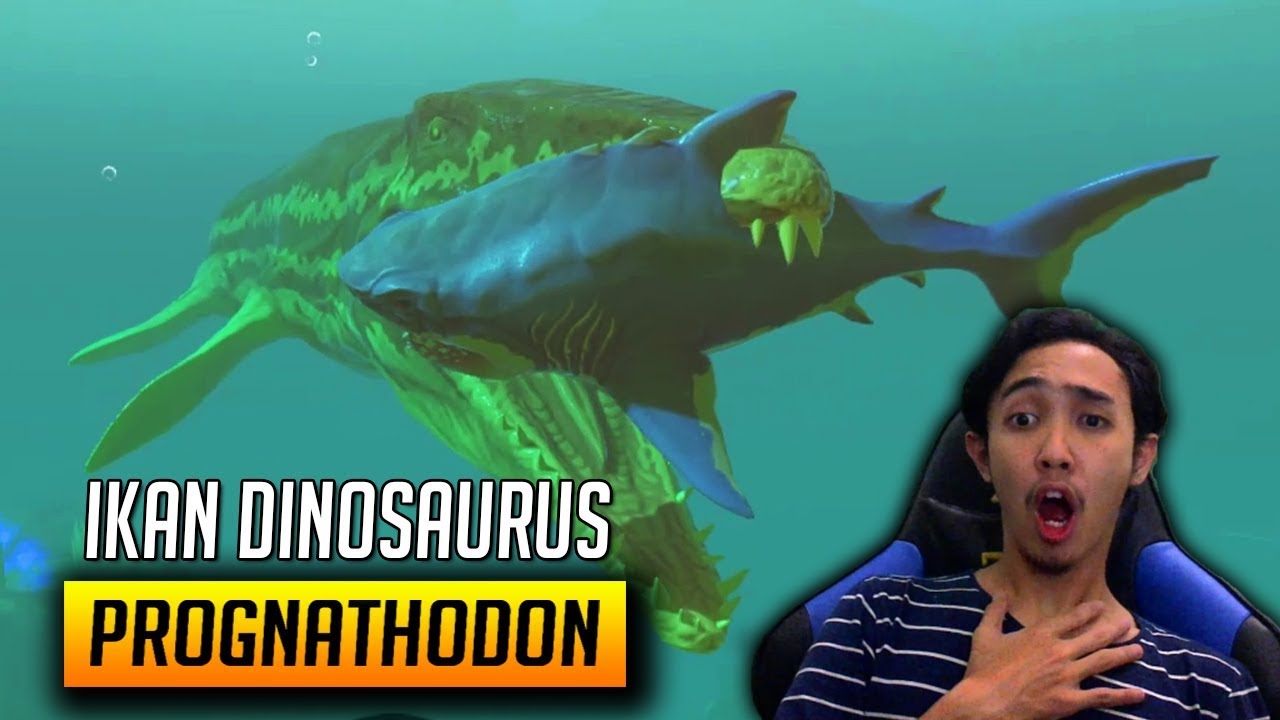 IKAN DINOSAURUS RAKSASA BY ONE DENGAN MEGALODON - FEED AND GROW FISH INDONESIA #6