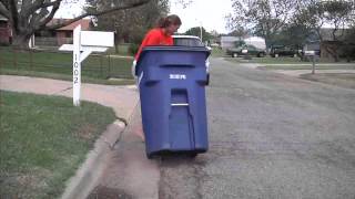 Blue Carts Policy