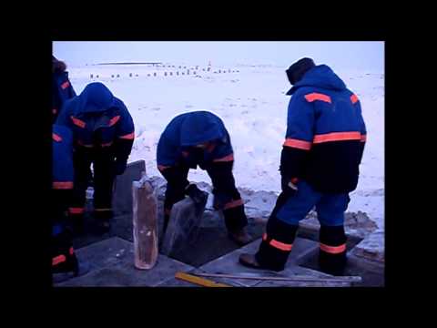 Звезда по имени