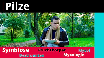 Was sind Saprophytische Pilze?