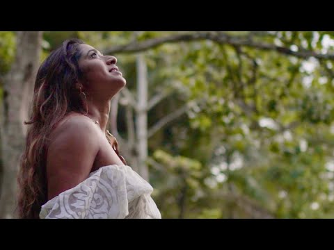 Stef Kalloo - Forget it all (Official Visualizer)