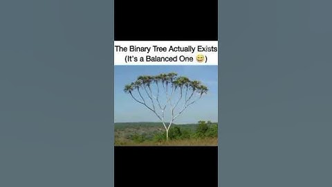 #data structures#programming#relatable#example#trees concept#binary tree