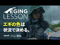 エギの色は状況に合わせる!エギのカラーの選び方【エギングレッスン】