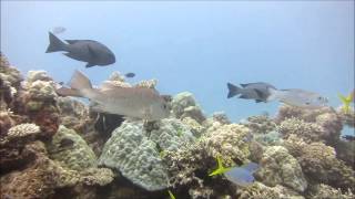My Gbr Movie Hd