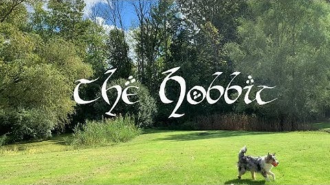 The Hobbit | J.R.R. Tolkien - Relaxing Book Summary